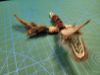 Picture of Handmade Brown Striped Pheasant Feather Wand Teaser Refill for Da Bird & Frenzy