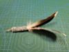 Picture of Natural blue duck feather refill teaser