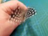 Picture of Natural guineafowl feather refill toy