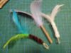 Picture of 3 PACK of two feather teasers and one edible catnip stick with feathers