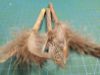 Picture of BIG XL All natural 3 pack Cat catnip sticks