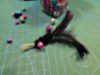 Picture of Handmade black natural swan feather teaser refill with bell