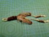 Picture of Handmade from natural feathers refill toy with catnip sticks