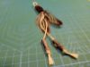 Picture of Handmade from natural feathers refill toy with catnip sticks