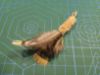 Picture of Handmade from natural rare pheasant feathers refill toy