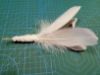 Picture of Natural blue duck and white swan feather refill teaser