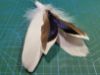 Picture of Natural blue duck and white swan feather refill teaser