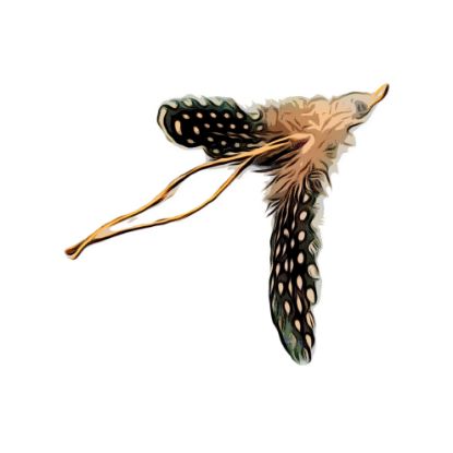 Picture of Handmade from natural Guinea Fowl feather and hemp refill toy