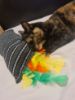 Picture of Soft middle, handmade catnip infused medium size kicker