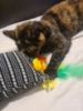 Picture of Soft middle, handmade catnip infused medium size kicker
