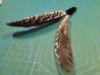 Picture of MUNIFICENT Dotty's handmade natural hen feather fetch toy for cat stealth version