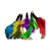 Picture of 5 PACK handmade feather refill toys - 4 feathers per toy