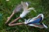 Picture of BIG XL All natural 3 pack Cat catnip sticks