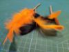Picture of HALLOWEEN Themed 3 pack Cat catnip sticks natural wood turned into chewable toy with feathers