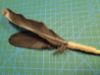 Picture of Handmade, fully natural large wand toy with real chicken feathers - no more hand scratches