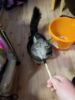 Picture of Handmade small kitten wand toy with real feathers - no more hand scratches