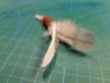 Picture of MUNIFICENT SMALL Wild bird handmade feathers refill toy for frenzy & da bird type wand teasers