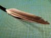 Picture of MUNIFICENT LARGE Wild bird handmade feathers refill toy for frenzy & da bird type wand teasers