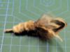 Picture of Handmade from natural feathers refill toy for frenzy & da bird type Mini Small wand teaser