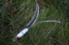 Picture of MUNIFICENT Poppet's handmade natural hen feathers refill toy for frenzy & da bird type wand teasers