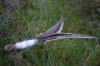 Picture of MUNIFICENT Poppet's handmade natural hen feathers refill toy for frenzy & da bird type wand teasers