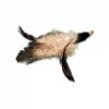 Picture of MUNIFICENT Big Lad's handmade natural rooster fluff feathers refill toy for frenzy & da bird type wand teasers
