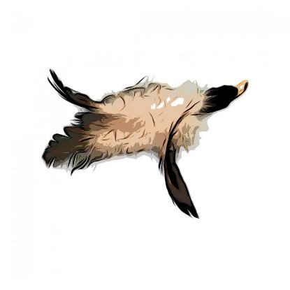 Picture of MUNIFICENT Big Lad's handmade natural rooster fluff feathers refill toy for frenzy & da bird type wand teasers