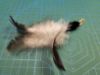 Picture of MUNIFICENT Big Lad's handmade natural rooster fluff feathers refill toy for frenzy & da bird type wand teasers