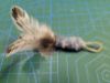 Picture of MUNIFICENT Dotty's handmade natural hen feathers refill toy for frenzy & da bird type wand teasers