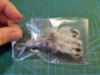 Picture of MUNIFICENT Dotty's handmade natural hen feathers refill toy for frenzy & da bird type wand teasers