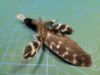 Picture of MUNIFICENT Black and White Dotty's handmade natural hen feathers refill toy for frenzy & da bird type wand teasers