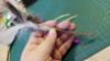 Picture of 3 pack full size (12CM stick) silvervine matatabi catnip sticks with colourful feathers and prickly hemp