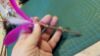 Picture of 3 pack full size (12CM stick) silvervine matatabi catnip sticks with colourful feathers and prickly hemp