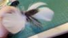 Picture of 3 pack full size (12CM stick) silvervine matatabi catnip sticks with colourful feathers and prickly hemp