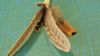 Picture of MUNIFICENT Pheasant natural handmade feathers refill toy for frenzy & da bird type wand teasers with leather loop