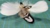 Picture of Black and white pheasant feather wand teaser refill for Da bird Frenzy