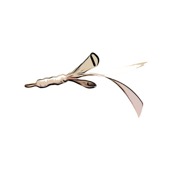 Picture of White pheasant feather and ribbon wand refill for Da Bird Frenzy wand 