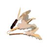 Picture of MUNIFICIENT Variety pack - Top-quality toy set - wand teaser, fetch toy, and Silvervine wooden stick. Purrfect Hunt.