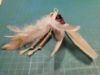 Picture of MUNIFICIENT Variety pack - Top-quality toy set - wand teaser, fetch toy, and Silvervine wooden stick. Purrfect Hunt.