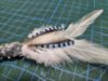 Picture of Blue jay and white rooster feather wand teaser refill for Da bird Frenzy 