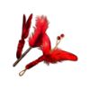 Picture of Breeder Variety pack - Top-quality toy set - wand teaser, fetch toy with bell, and Silvervine wooden stick