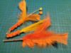 Picture of Breeder Variety pack - Top-quality toy set - wand teaser, fetch toy with bell, and Silvervine wooden stick