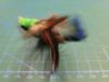 Picture of Wand Teaser Refill with Green Body and Peacock Feathers