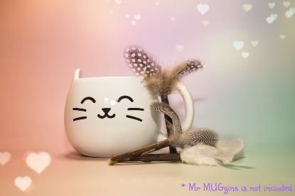 Picture of Silvervine Catnip Sticks with Random Natural Feathers – Handmade Small Cat Play Toys