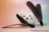 Picture of MUNIFICENT Big Lad's handmade natural rooster feather fetch toy