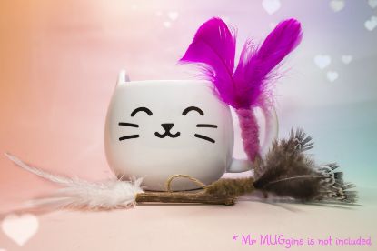 Picture of 3 PACK of two feather teasers and one edible catnip stick with feathers