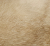 Picture of Real rabbit fur kicker with catnip and feathers tail, cotton tail or no tail 