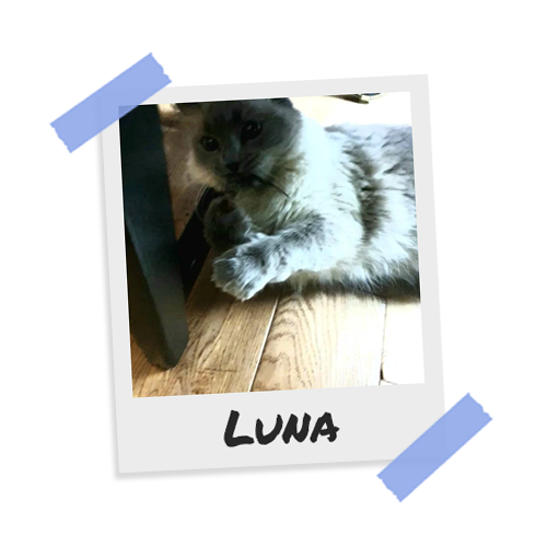 Luna